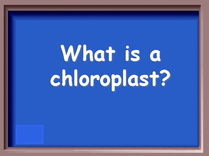 What is a chloroplast? 