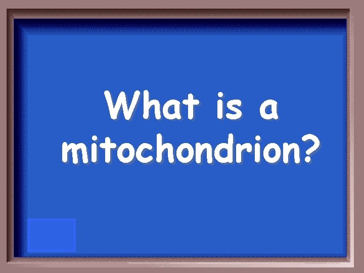 What is a mitochondrion? 