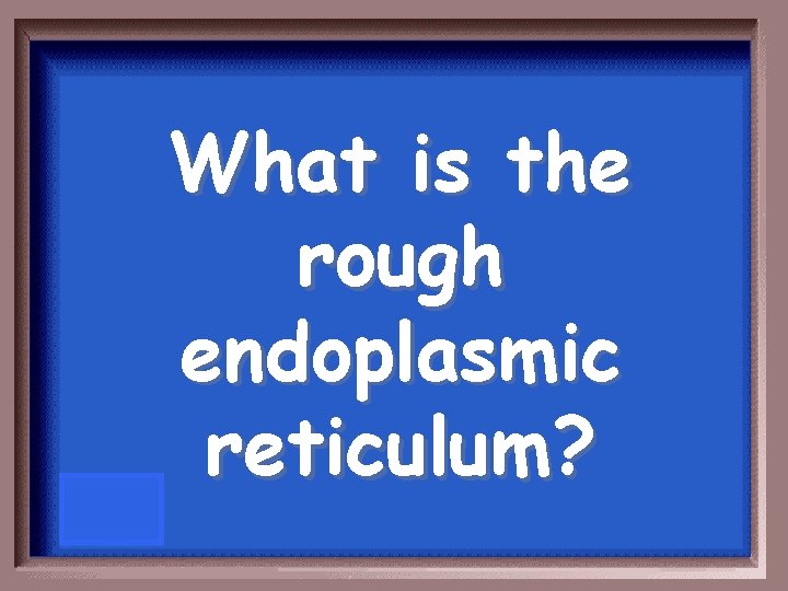 What is the rough endoplasmic reticulum? 