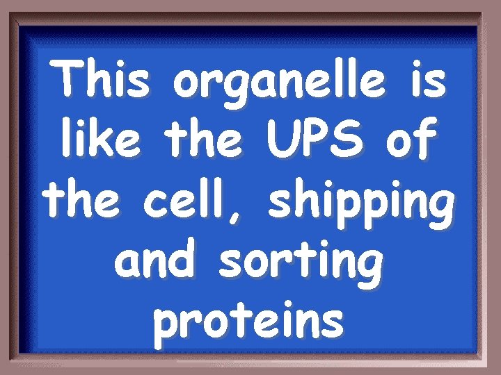 This organelle is like the UPS of the cell, shipping and sorting proteins 