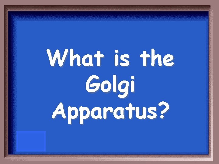 What is the Golgi Apparatus? 