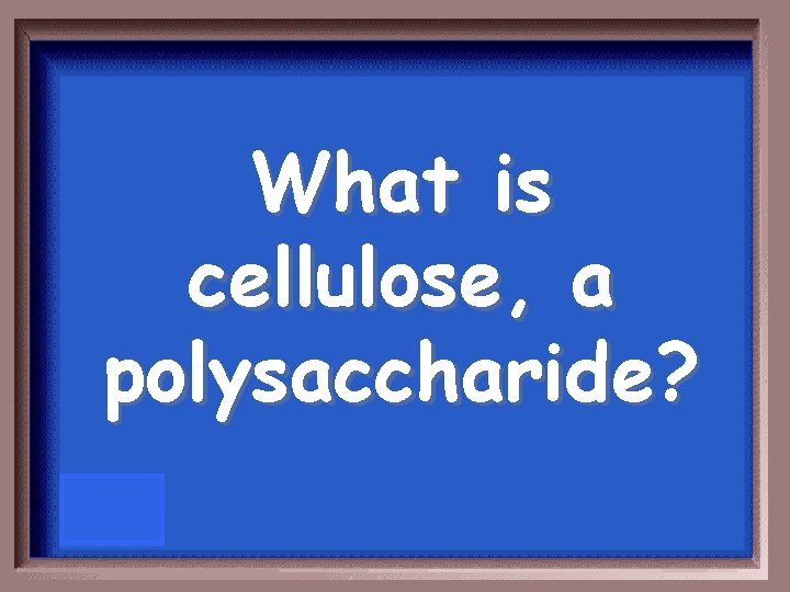 What is cellulose, a polysaccharide? 