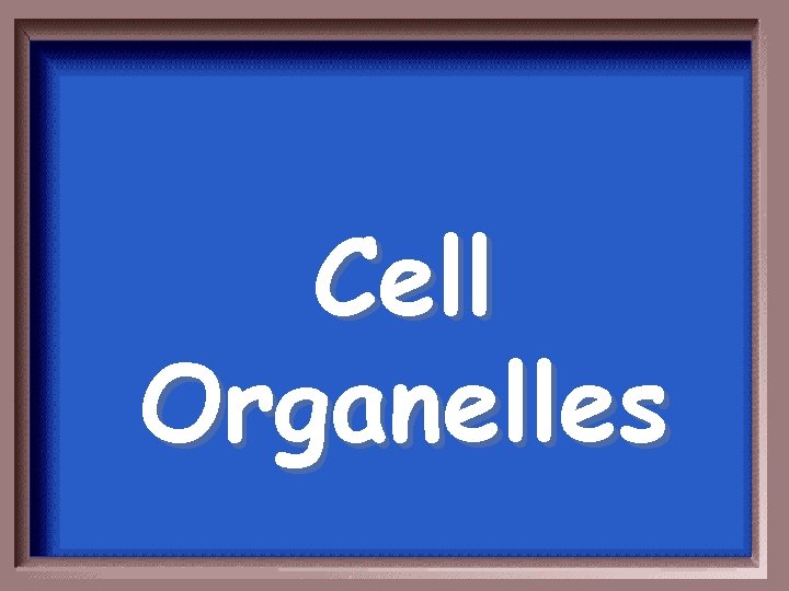 Cell Organelles 