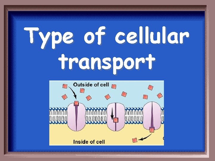 Type of cellular transport 