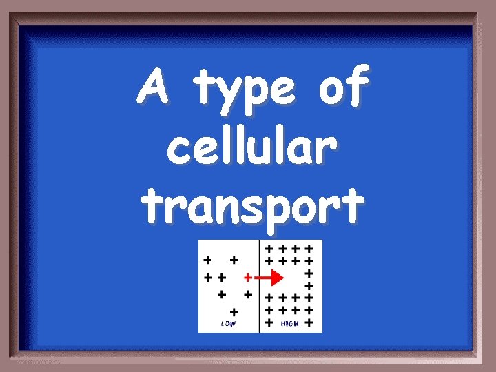 A type of cellular transport 