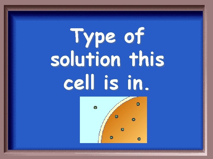 Type of solution this cell is in. 