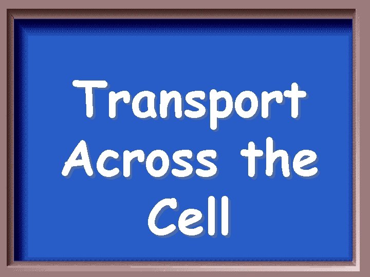 Transport Across the Cell 