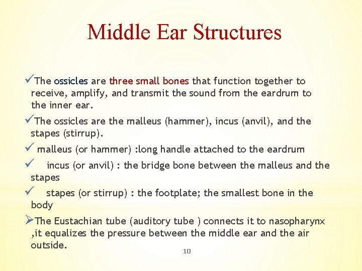 Middle Ear Structures üThe ossicles are three small bones that function together to receive,