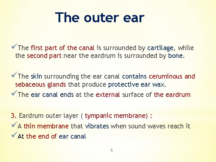 The outer ear üThe first part of the canal is surrounded by cartilage, while