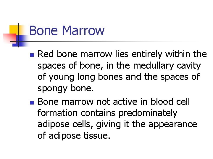 Bone Marrow n n Red bone marrow lies entirely within the spaces of bone,