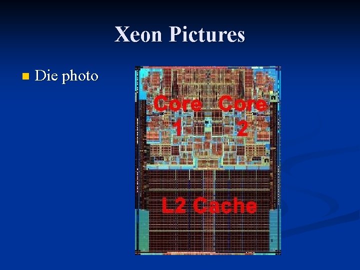 Xeon Pictures n Die photo 