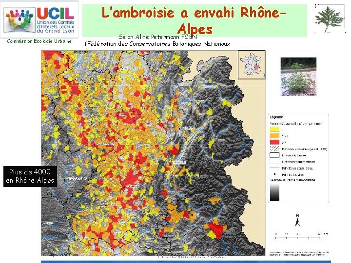 Commission Ecologie Urbaine L’ambroisie a envahi Rhône. Alpes Selon Aline Petermann FCBN (Fédération des