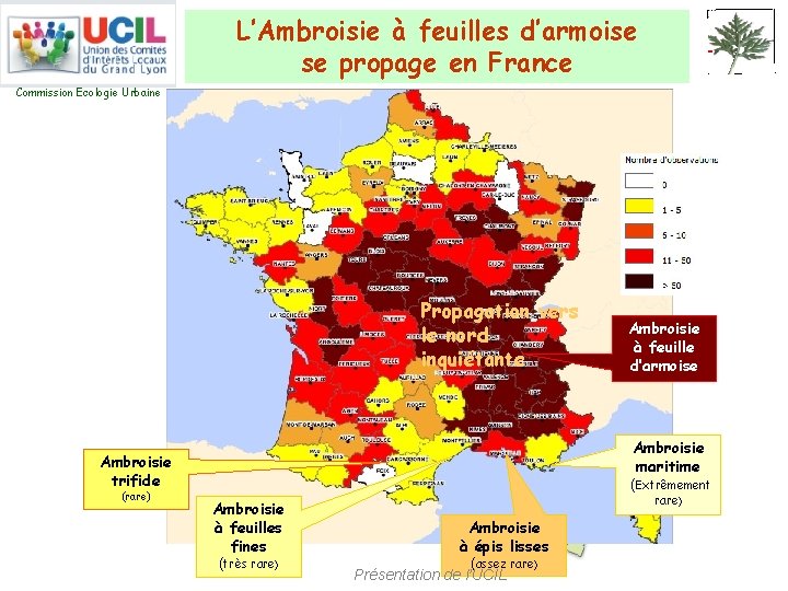 L’Ambroisie à feuilles d’armoise se propage en France Commission Ecologie Urbaine Propagation vers le