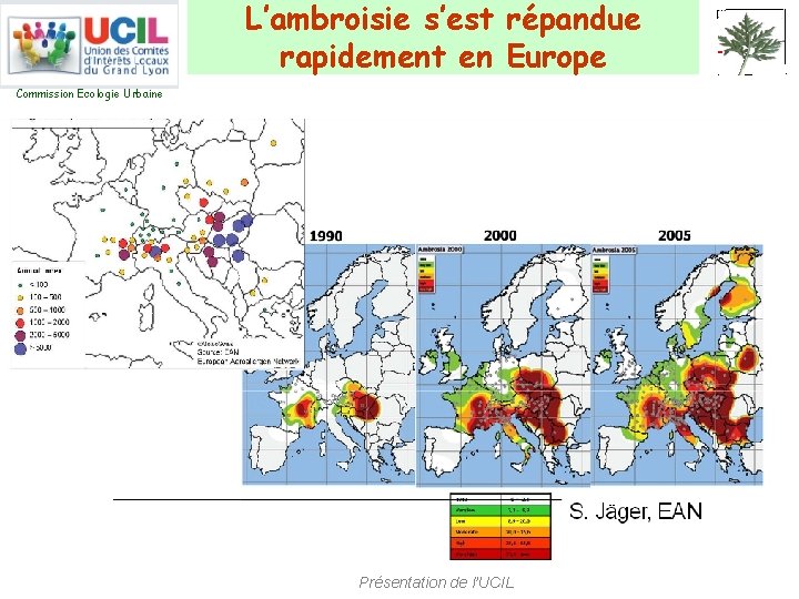 L’ambroisie s’est répandue rapidement en Europe Commission Ecologie Urbaine Présentation de l’UCIL 
