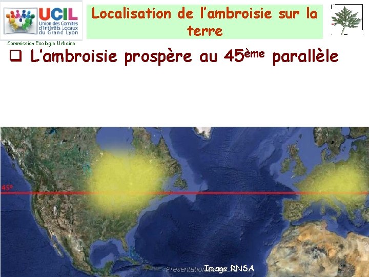 Localisation de l’ambroisie sur la terre Commission Ecologie Urbaine q L’ambroisie prospère au 45ème