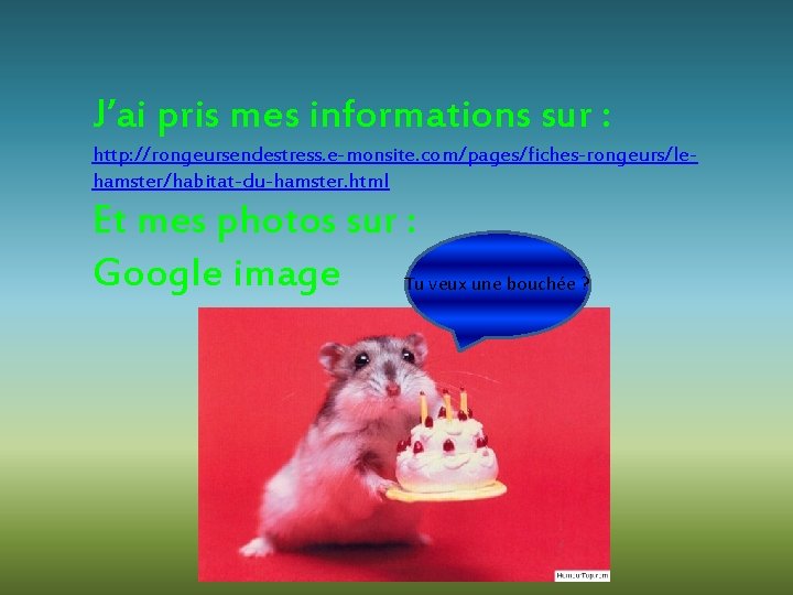 J’ai pris mes informations sur : http: //rongeursendestress. e-monsite. com/pages/fiches-rongeurs/lehamster/habitat-du-hamster. html Et mes photos