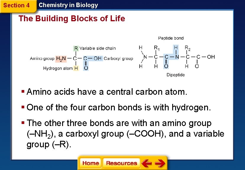 Section 4 Chemistry in Biology The Building Blocks of Life § Amino acids have Section 4 Chemistry in Biology The Building Blocks of Life § Amino acids have