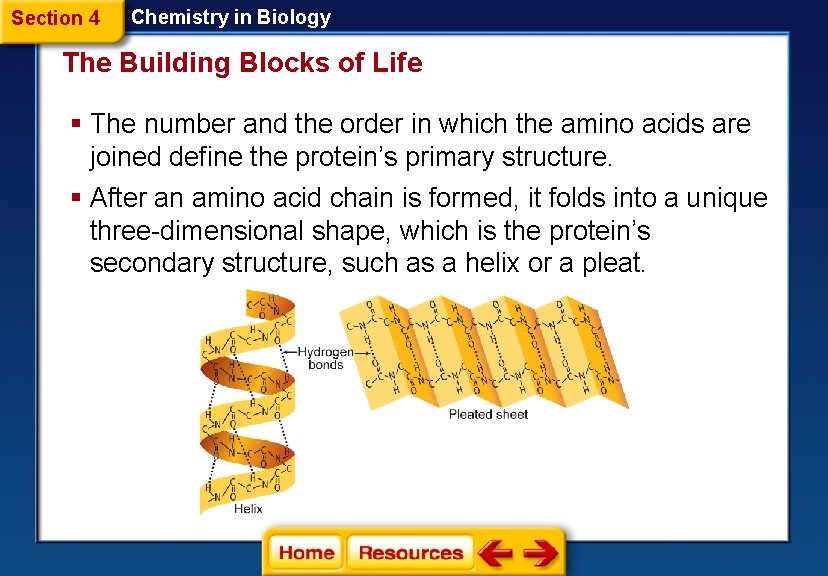Section 4 Chemistry in Biology The Building Blocks of Life § The number and