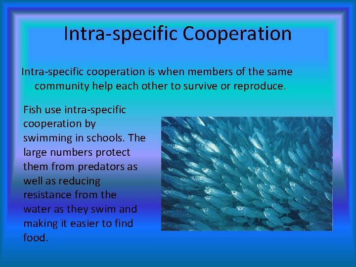 Intra-specific Cooperation Intra-specific cooperation is when members of the same community help each other