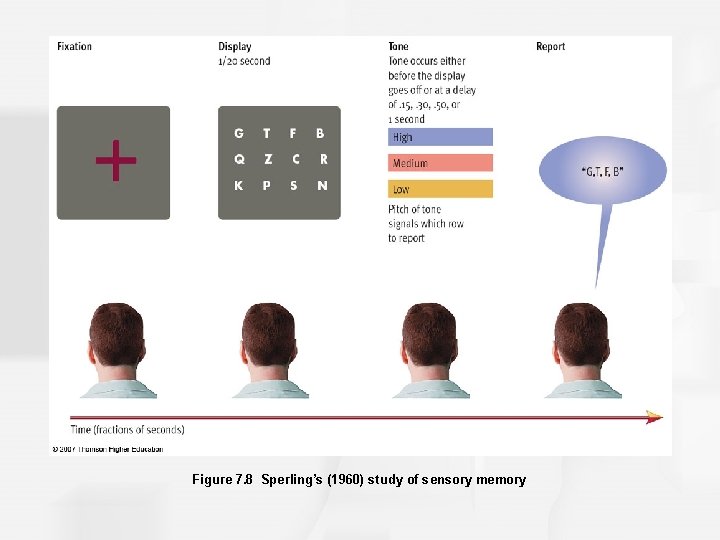 Figure 7. 8 Sperling’s (1960) study of sensory memory 