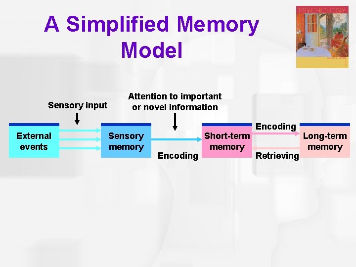 A Simplified Memory Model Sensory input External events Attention to important or novel information