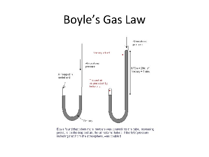 Boyle’s Gas Law 