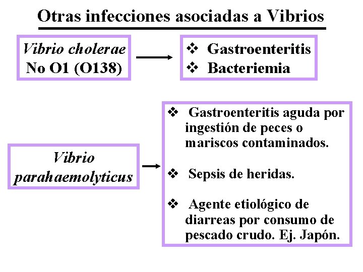 Otras infecciones asociadas a Vibrios Vibrio cholerae No O 1 (O 138) Vibrio parahaemolyticus