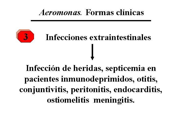 Aeromonas. Formas clínicas 3 Infecciones extraintestinales Infección de heridas, septicemia en pacientes inmunodeprimidos, otitis,