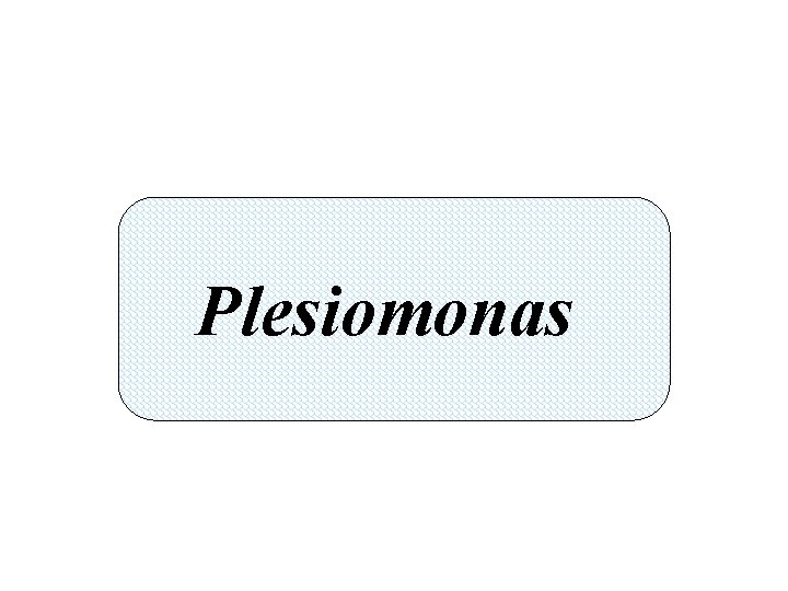 Plesiomonas 