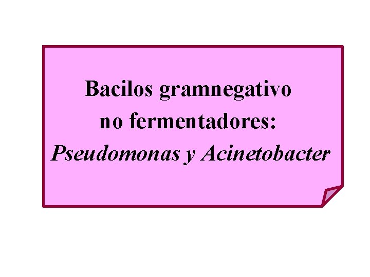 Bacilos gramnegativo no fermentadores: Pseudomonas y Acinetobacter 