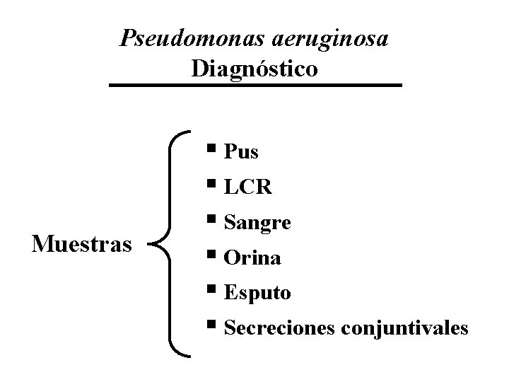 Pseudomonas aeruginosa Diagnóstico Muestras § Pus § LCR § Sangre § Orina § Esputo