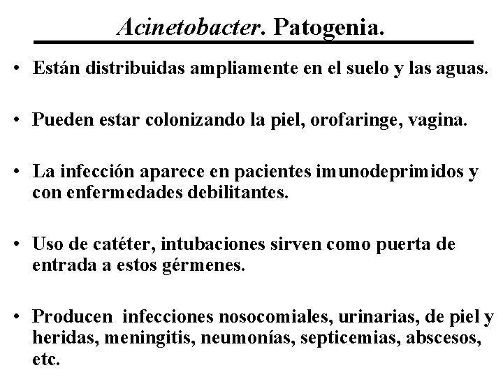Acinetobacter. Patogenia. • Están distribuidas ampliamente en el suelo y las aguas. • Pueden