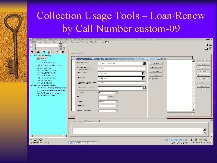 Collection Usage Tools – Loan/Renew by Call Number custom-09 