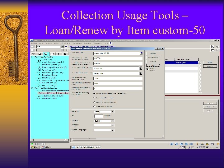 Collection Usage Tools – Loan/Renew by Item custom-50 