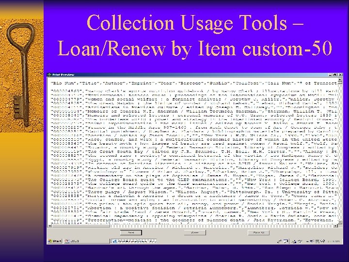 Collection Usage Tools – Loan/Renew by Item custom-50 