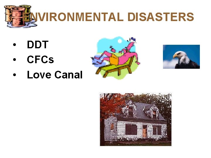 ENVIRONMENTAL DISASTERS • DDT • CFCs • Love Canal 