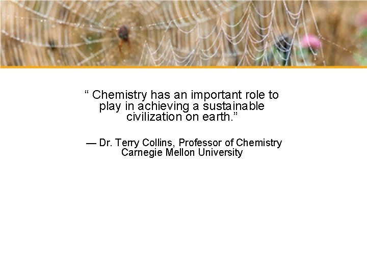 “ Chemistry has an important role to play in achieving a sustainable civilization on