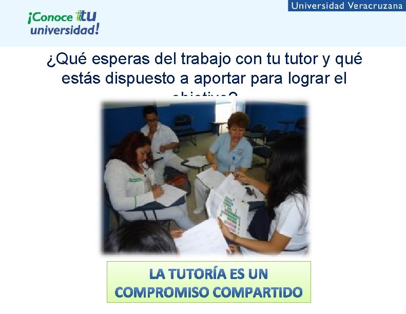 ¿Qué esperas del trabajo con tu tutor y qué estás dispuesto a aportar para