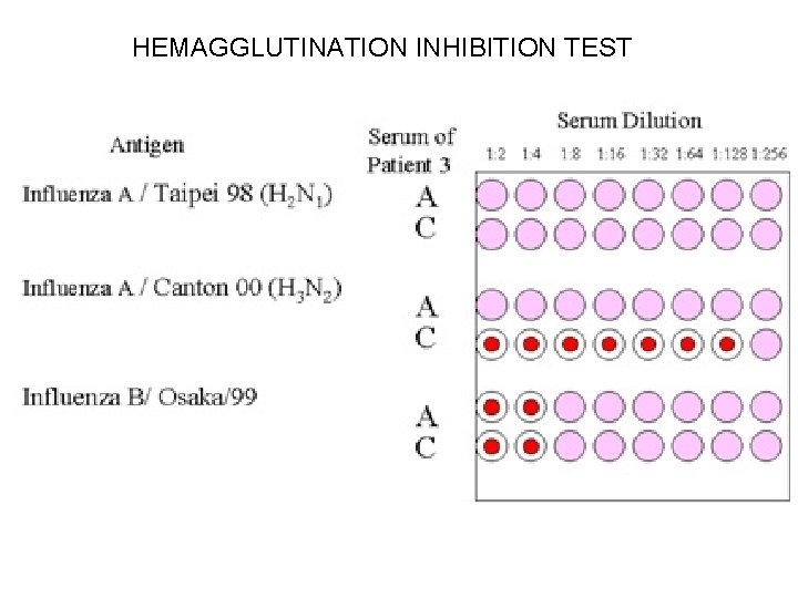 HEMAGGLUTINATION INHIBITION TEST 