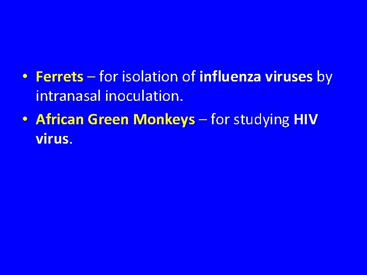  • Ferrets – for isolation of influenza viruses by intranasal inoculation. • African