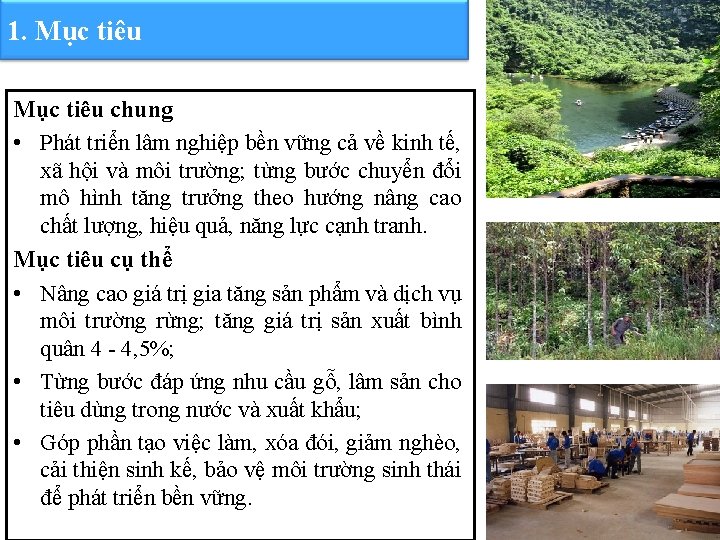 1. Mục tiêu chung • Phát triển lâm nghiệp bền vững cả về kinh