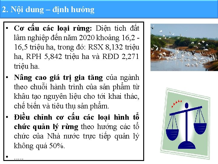 2. Nội dung – định hướng • Cơ cấu các loại rừng: Diện tích