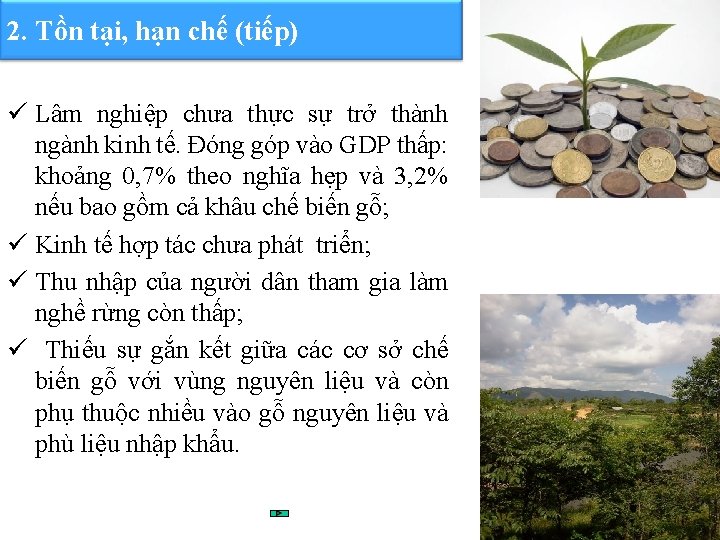 2. Tồn tại, hạn chế (tiếp) ü Lâm nghiệp chưa thực sự trở thành