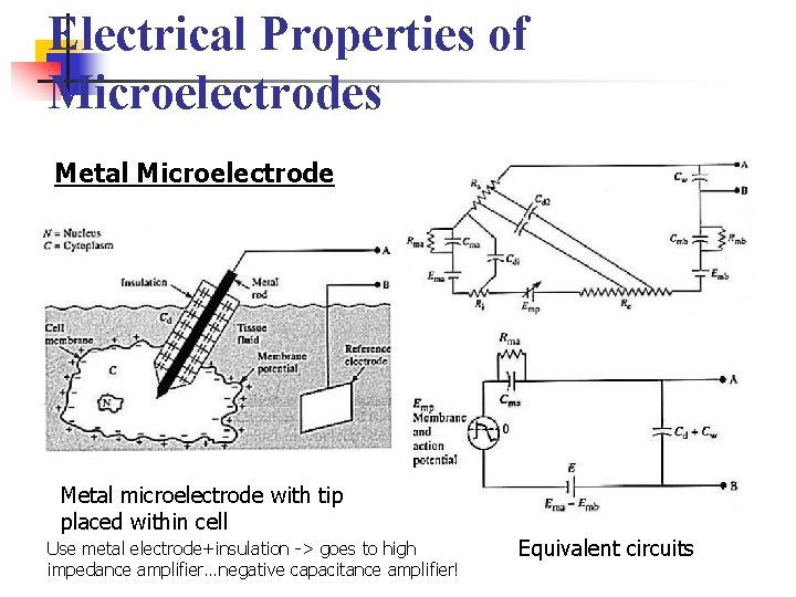 Electrical Properties of Microelectrodes Metal Microelectrode Metal microelectrode with tip placed within cell Use