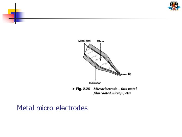 Metal micro-electrodes 