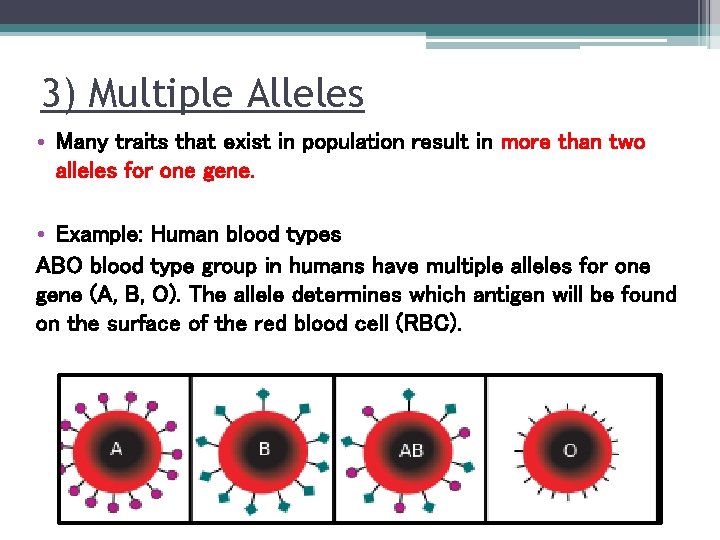 3) Multiple Alleles • Many traits that exist in population result in more than