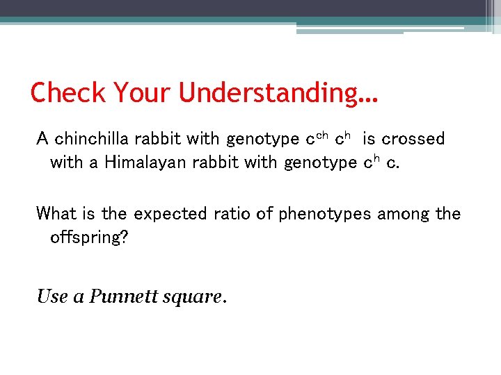 Check Your Understanding… A chinchilla rabbit with genotype cch ch is crossed with a