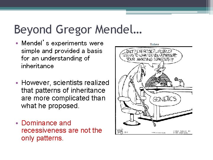 Beyond Gregor Mendel… • Mendel’s experiments were simple and provided a basis for an