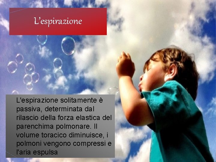 L’espirazione L'espirazione solitamente è passiva, determinata dal rilascio della forza elastica del parenchima polmonare.