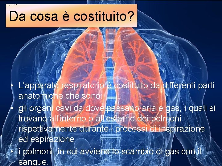Da cosa è costituito? • L'apparato respiratorio è costituito da differenti parti anatomiche sono: